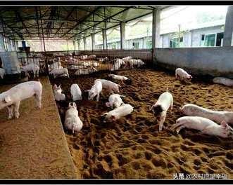 大自然饲料论坛-大自然饲料论坛官网