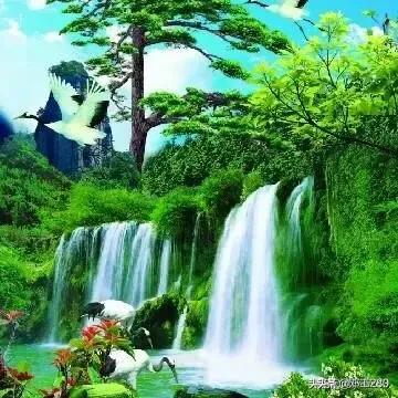 寒冰海外生活，