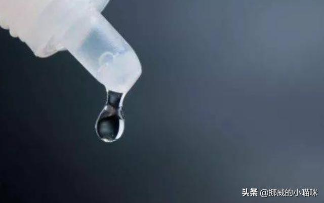 金毛犬有泪痕怎么办,第3张