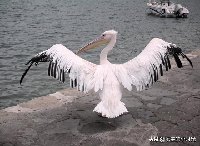 马其顿旅游景点大全， 马其顿旅游景点大全图片