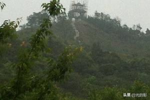 深圳一个人一日游必去的景点(图2)