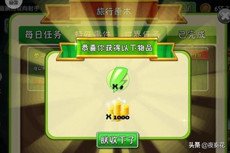 原木风家具如何搭配植物(图5)