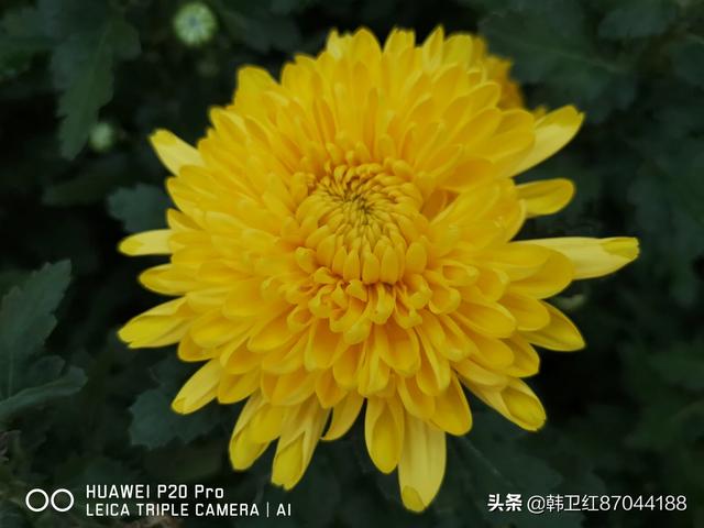 [我最伤心的时候]当什么的时候我很难过填空？