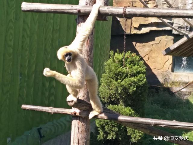 东兰飞海外生活，东兰飞海外生活馆是正品吗