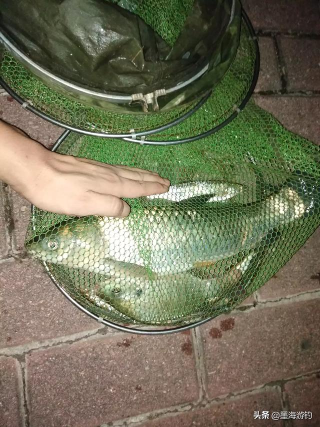 草鱼玉米如何搭配做馅儿(图11)