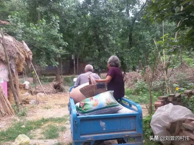 女人的地男人犁最新章节(图19)