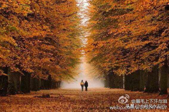 上海地铁辟谣