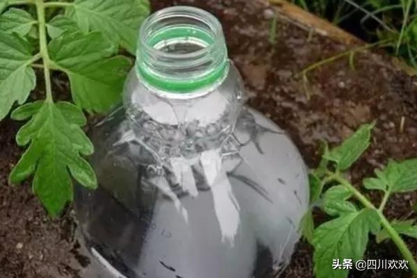 家里没人怎么给花浇水