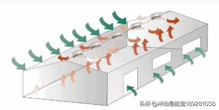 笼养鸡雏饲料配比-笼养鸡雏饲料配比表