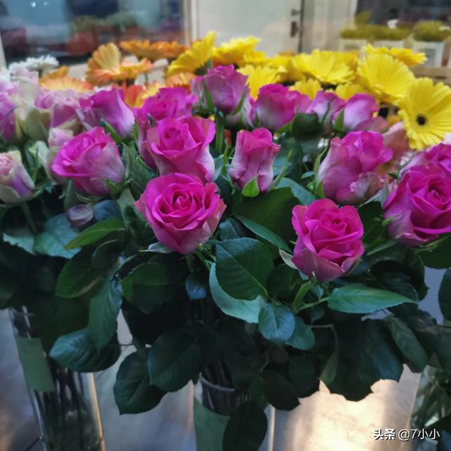 花店最受欢迎的花（花店最受欢迎的花品种）
