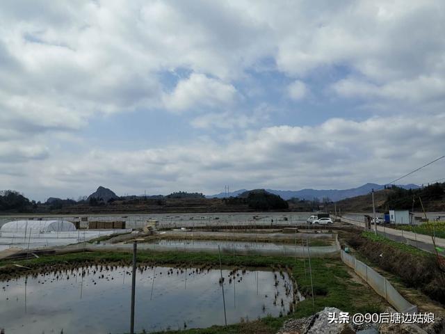 水产养殖的风险分析和成本控制-水产养殖的风险在哪里