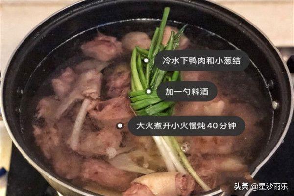 老鸭汤的做法大全-老鸭汤的做法大全家常