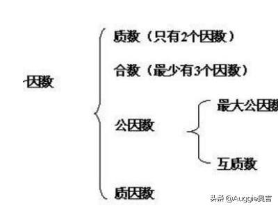 因数和倍数知识点整理，五年级数学因数和倍数知识点整理