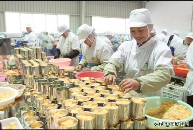 注册公司起名字大全食品_