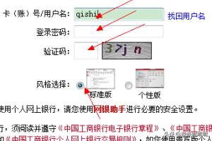 城乡养老保险保险额度查询，城乡养老保险怎么查