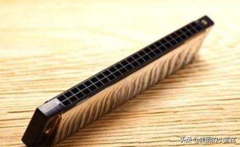 什么乐器好学专业知识多，什么乐器好学专业知识多一点