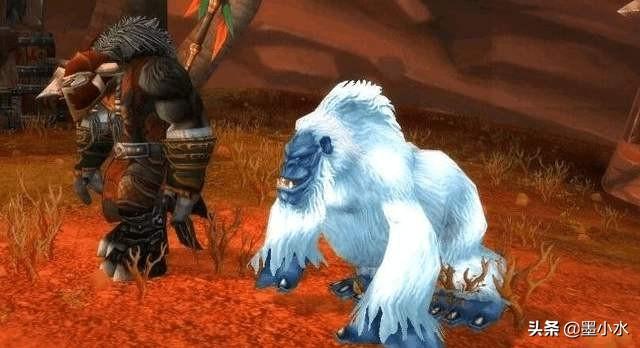 獵人 寵物大全?懷舊服獵人寵物大全!