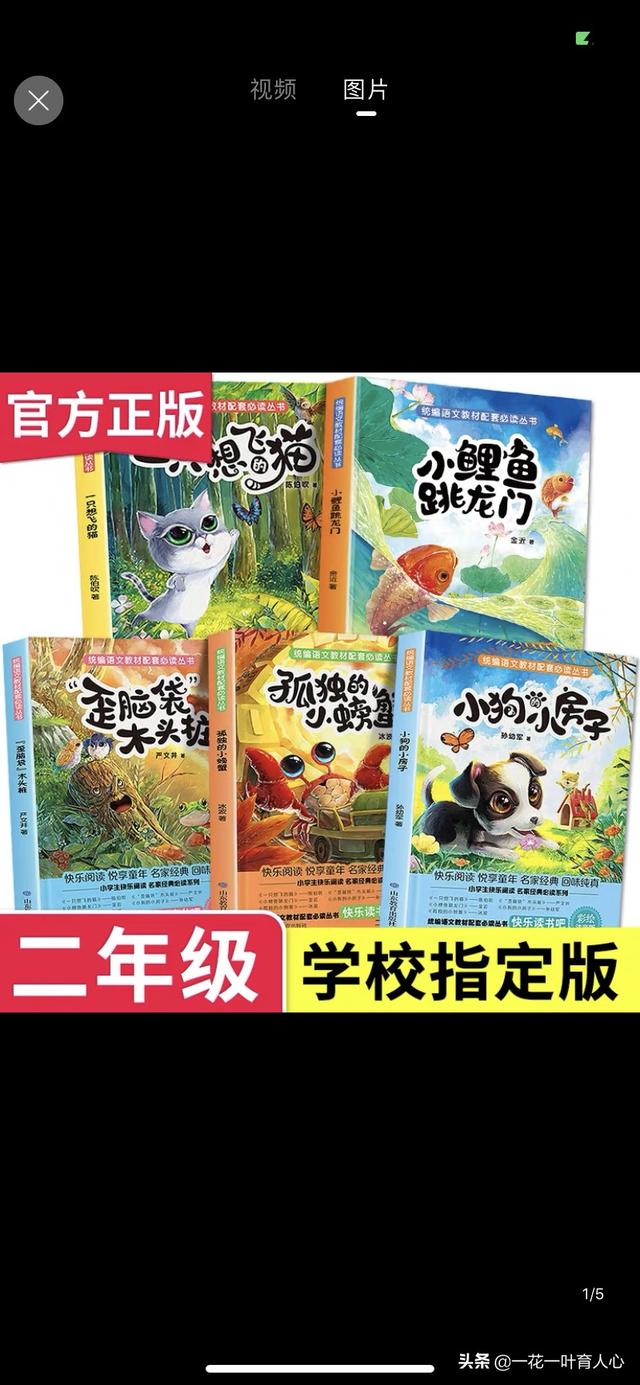 我与互联网的故事小学生视频