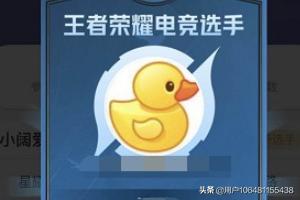 王者电竞app开发