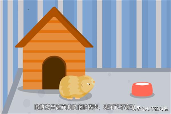 7be2141cb3804accb2d0d9e09d582b82