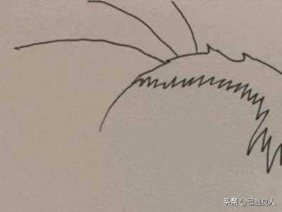 马丁的早晨动漫，马丁的早晨动漫主演是谁
