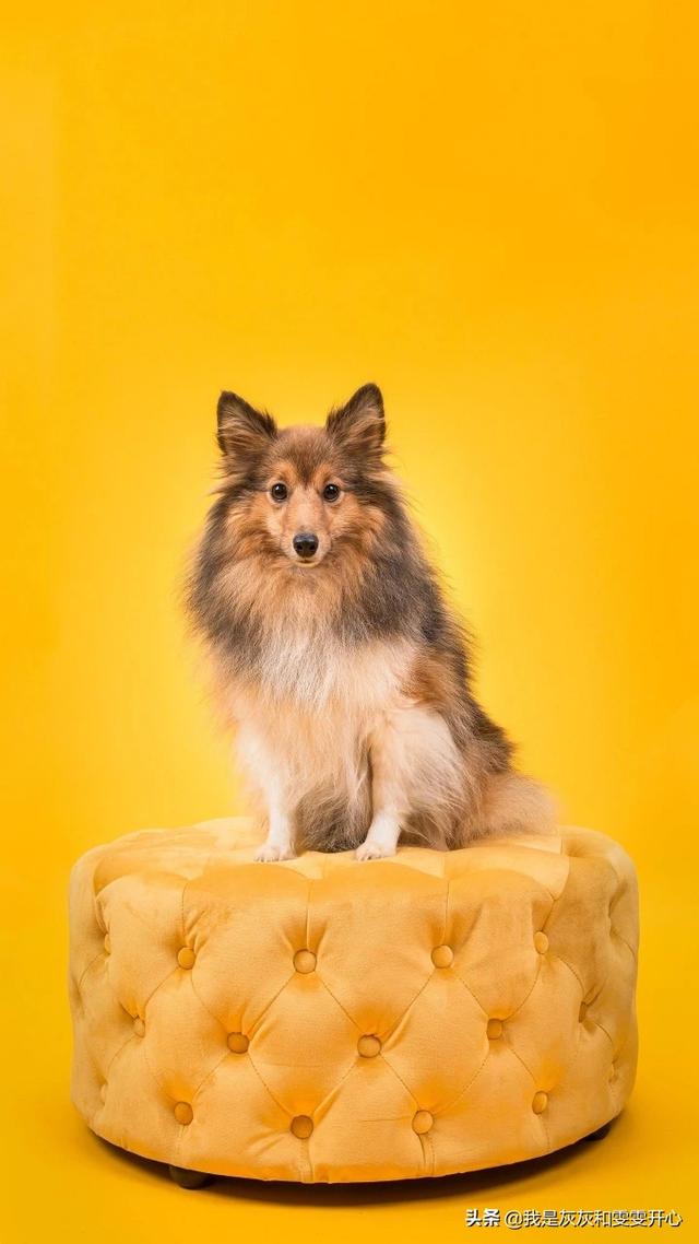 [河北园林景观设计培训班]园林景观设计培训班多久可考证？