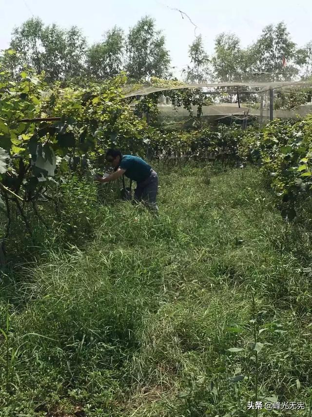 农家乐旅游穿搭， 农家乐旅游穿搭图片