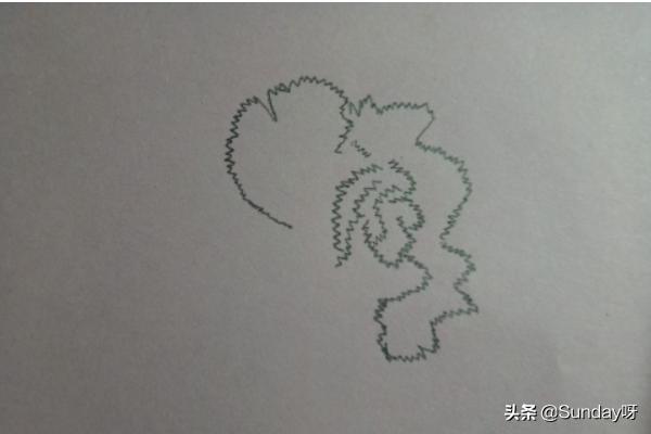 康乃馨简笔画?康乃馨简笔画怎么画!