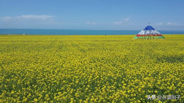 学生旅游去哪好玩又实惠又凉快夏天,学生旅游去哪好玩又实惠又凉快夏天的