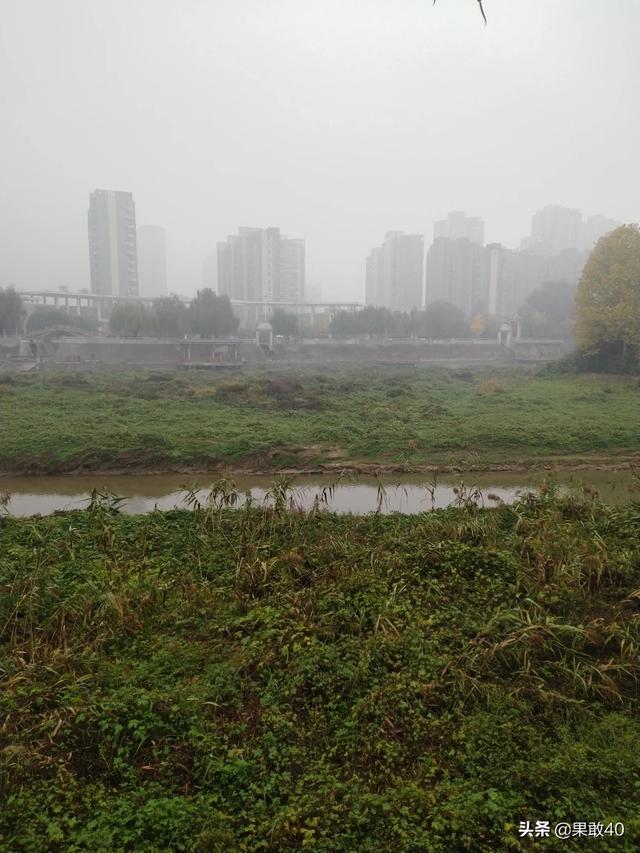 高档餐厅菜谱大全,高档餐厅菜谱大全图片