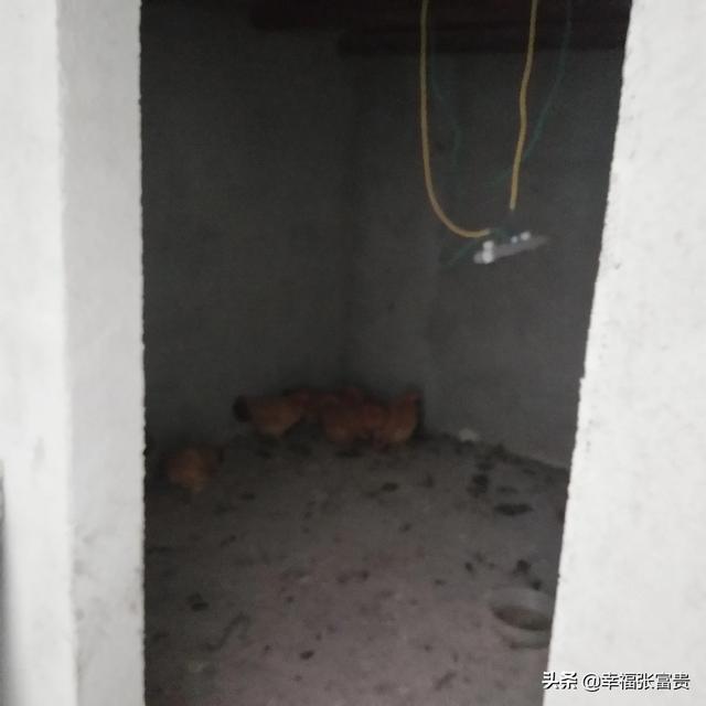 兔妈海外生活vlog，兔妈美国购是正品吗