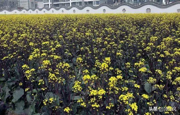 跨境电商湖北产品有哪些