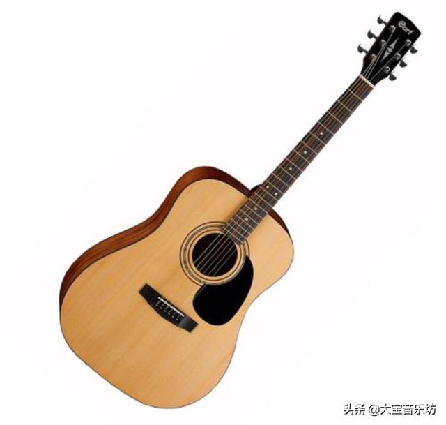 世界上比较出名的吉他有哪些？：seagull吉他