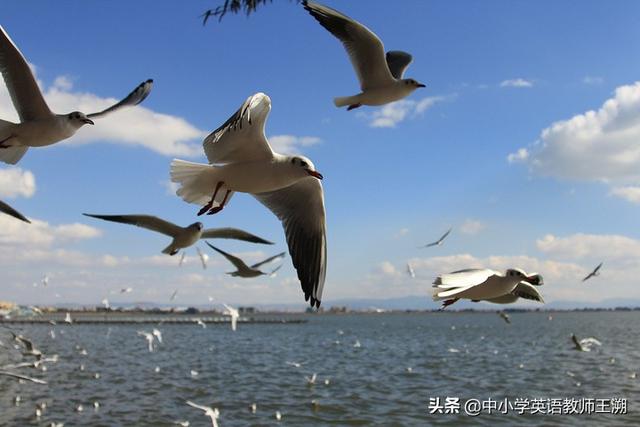 英语初级学习班