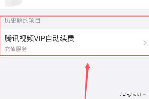 微信自动续费怎么关(图12)