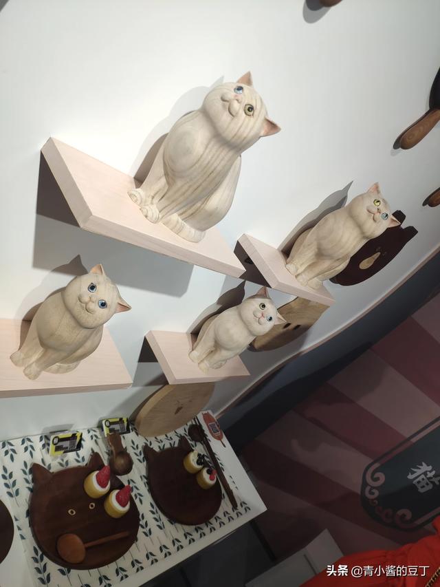 准备去接领养的猫咪，需要带些什么呢,第12张