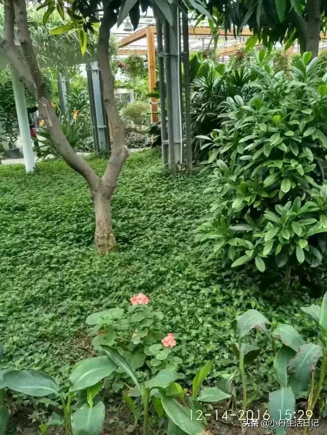 乌鲁木齐附近必去的景点(图4)