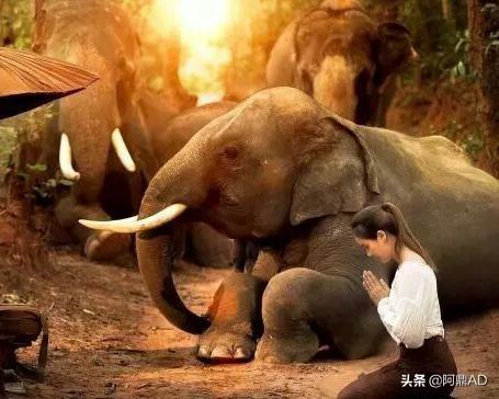 [手机聊天]如何用手机上网聊天？