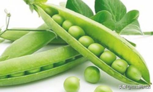 蔬菜保鲜（蔬菜保鲜方法？）