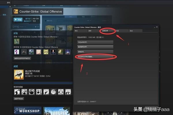 csgo2为什么无法验证您的游戏会话？CSGO vac无法认证您的游戏会话怎么回事？