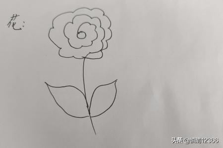 花卉筒笔画?简笔画,花卉!