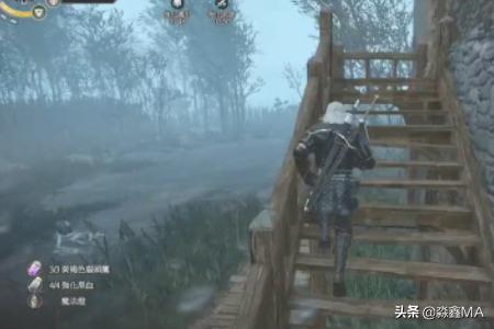 巫师3老鼠之塔攻略 巫师3老鼠之塔攻略怎么上实验室  第4张
