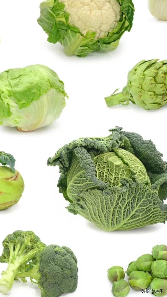 烫过的小青菜怎么吃最好(图5)