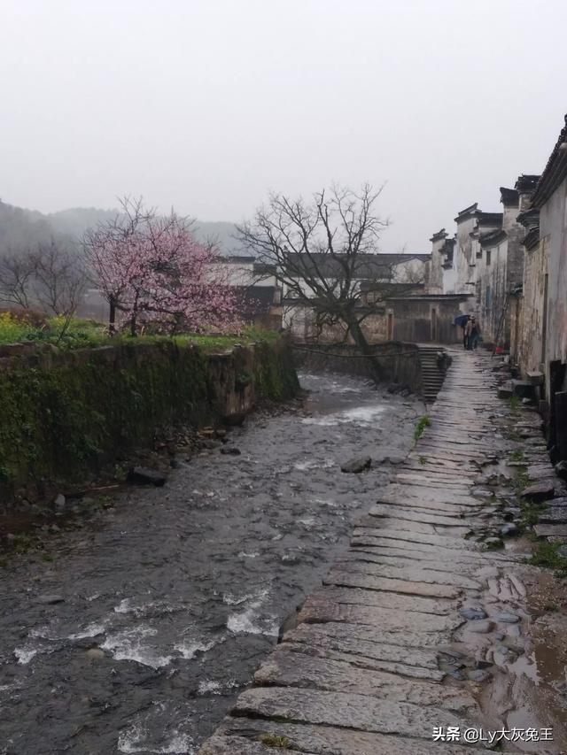 安徽旅游攻略省钱路线， 安徽旅游攻略省钱路线图