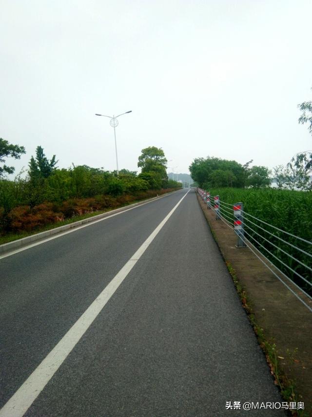 云南丽江市古城区摘枇杷民宿帮忙推荐几个,丽江附近哪里有果园采摘