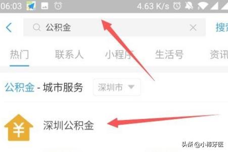 个人公积金查询明细网，个人公积金查询明细网址是什么