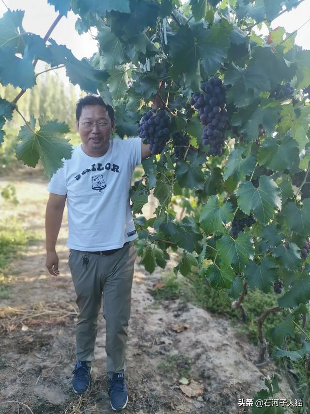 乌兰察布市四子王旗纸飞机账号购买经验