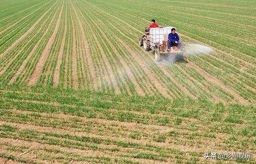 承包农地搞农业养殖合法吗，承包农地搞农业养殖合法吗知乎