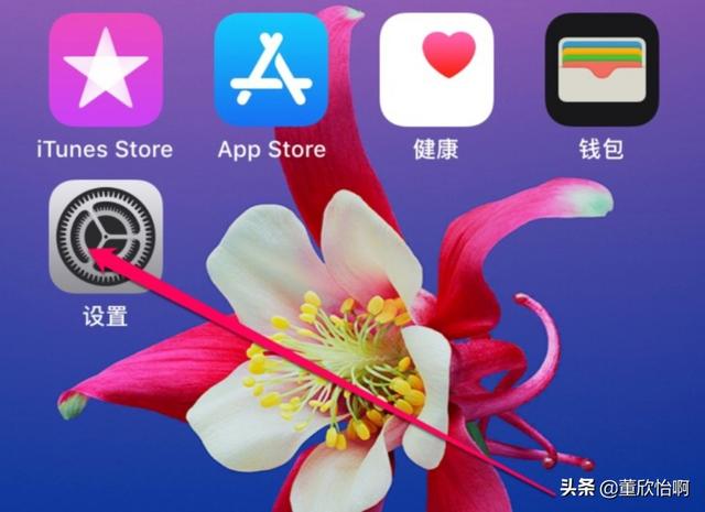 苹果手机快捷键小圆点怎么设置(图1)