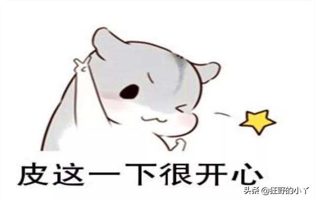 平台app开发